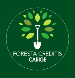 La Foresta di Creditis-Banca Carige