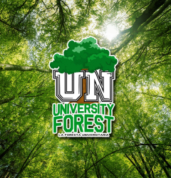 University Forest - La Foresta Universitaria