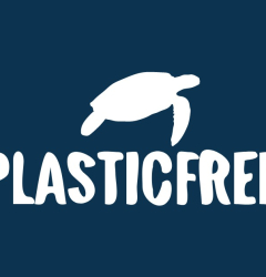 Plastic Free Forest