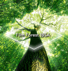 FILM FOREST IBSA