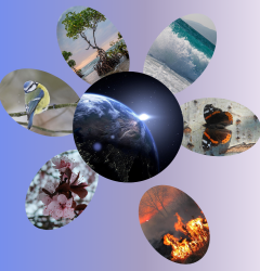 Ma Maison la Terre - Madre Terra