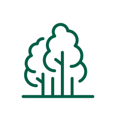 1. Listing Anniversary Forest
