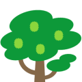Corossolier