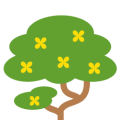 Albizia coriaria