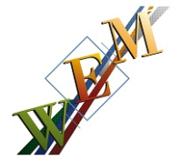 W.E.M. Srl