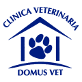 Domus Vet