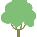 Elaeagnus