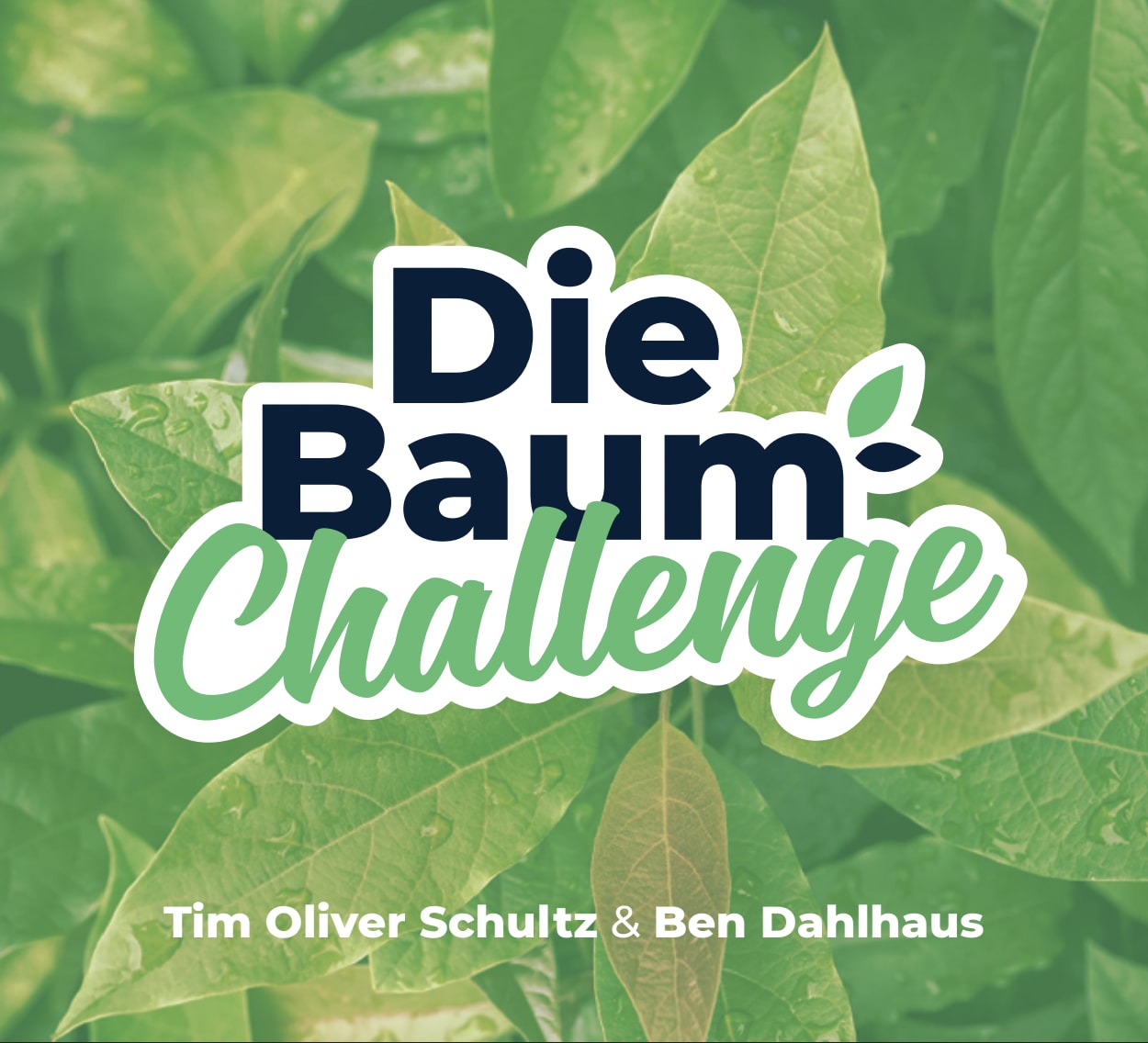Baum Challenge
