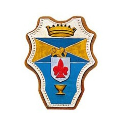 Foresta di Dicomano